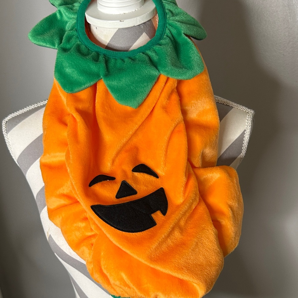 Pumpkin Costume for Dogs - Orange and Green
